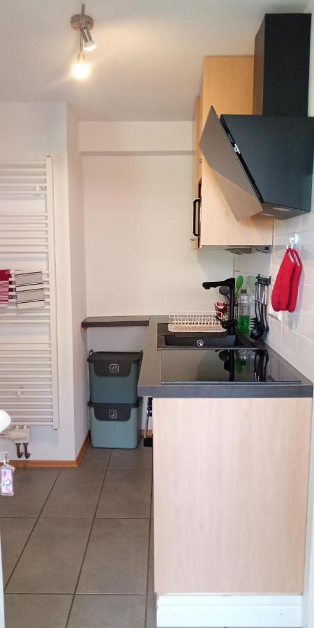 Ferienwohnung In Grenzach Extérieur photo