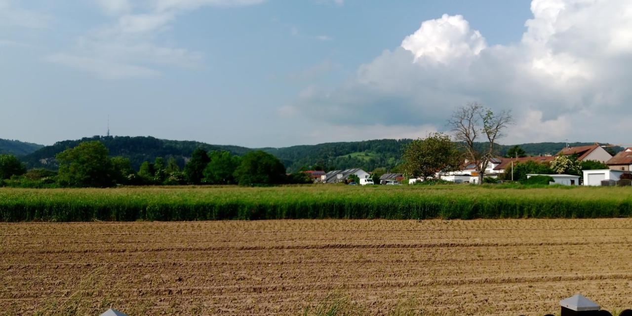 Ferienwohnung In Grenzach Extérieur photo
